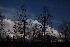 Billowing