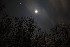 Moon over Greystone 2