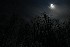 Moon over Greystone 3