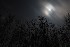Moon over Greystone 5