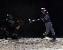 Batting