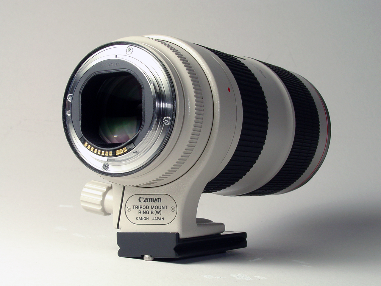 Canon EF 70-200mm f/2.8L IS II USM