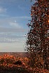 Greystone-on-the-Cheat Fairway