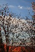 Moonrise over Greystone-on-the-Cheat