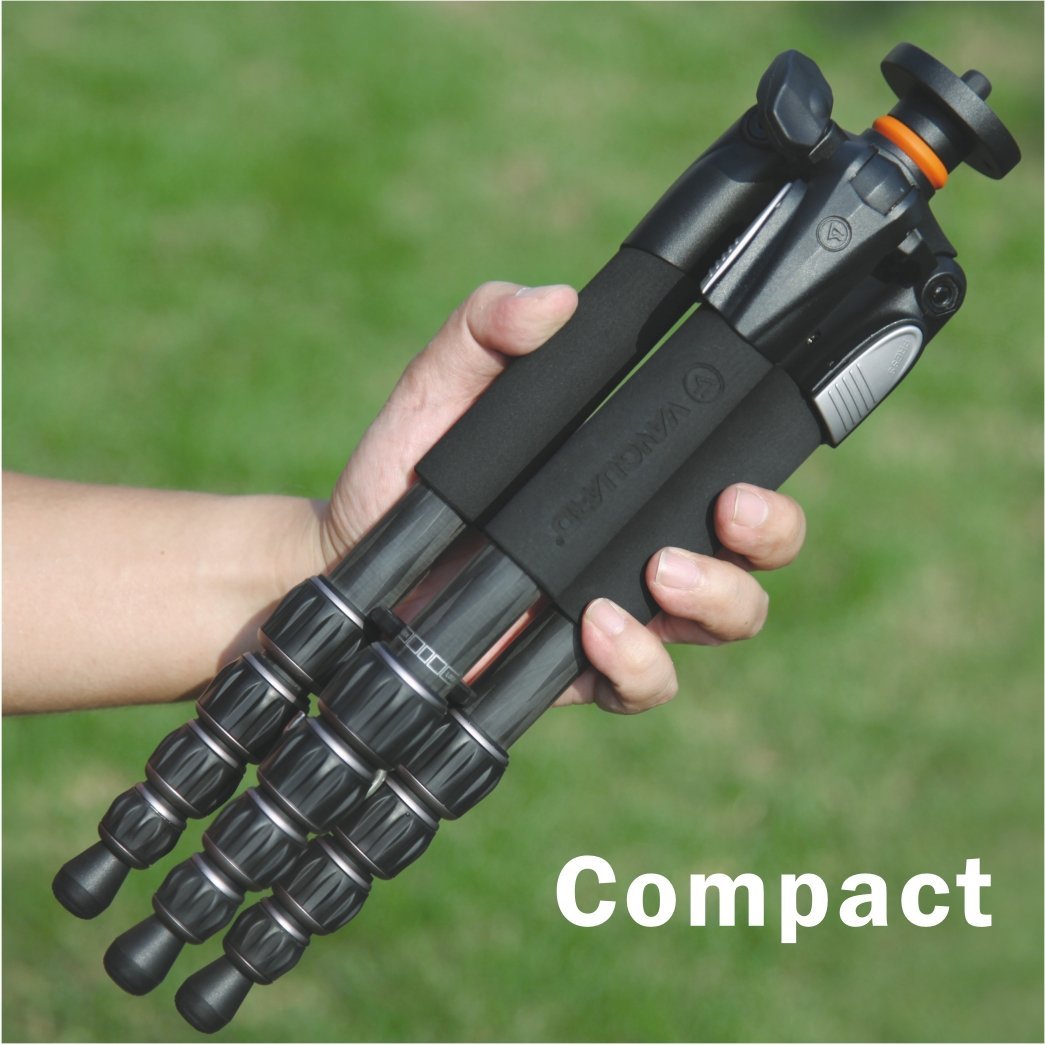 Compact