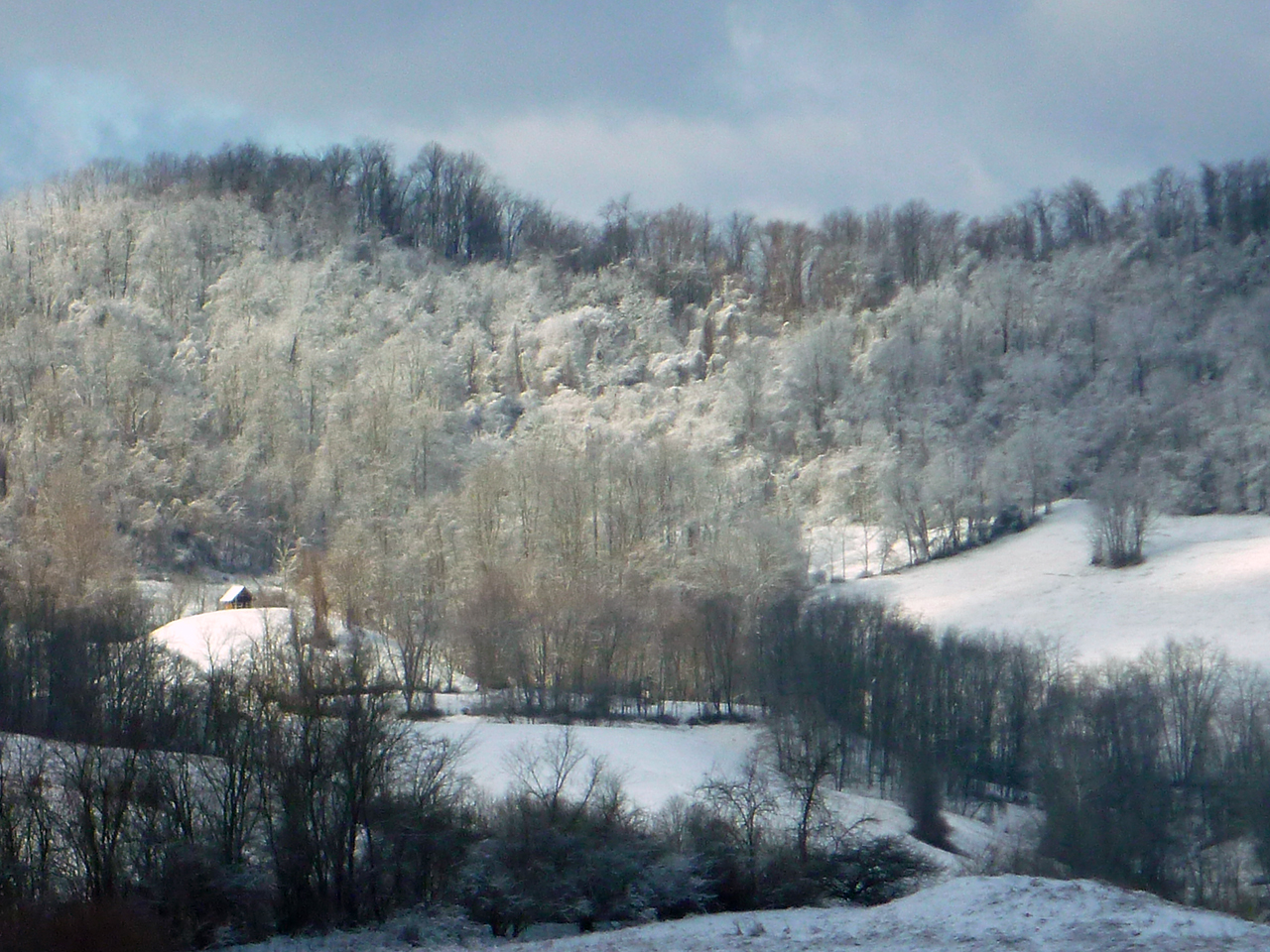 Booth's Creek