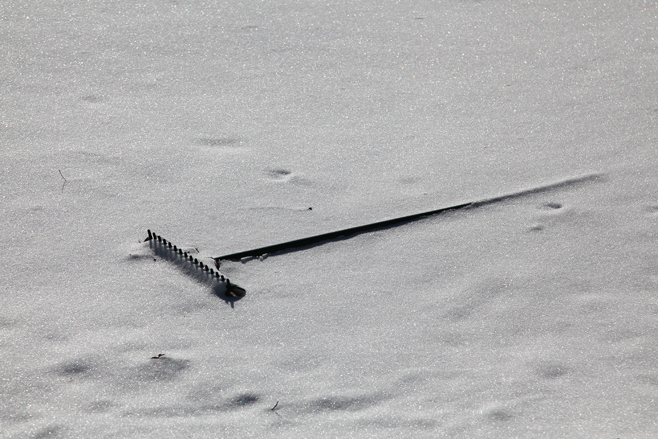 Click to Enlarge - Sand-Trap Lament