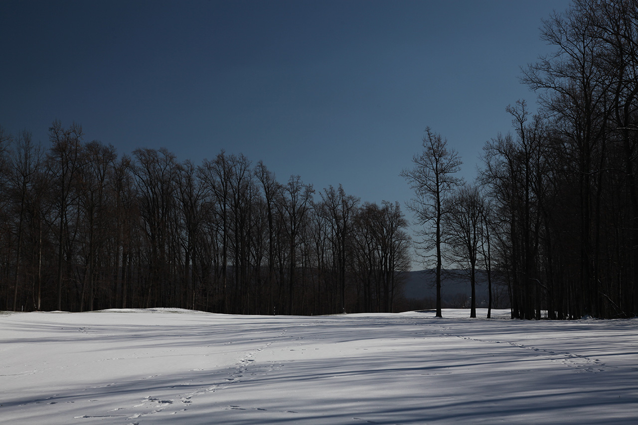 Click to Enlarge - Ridgetop