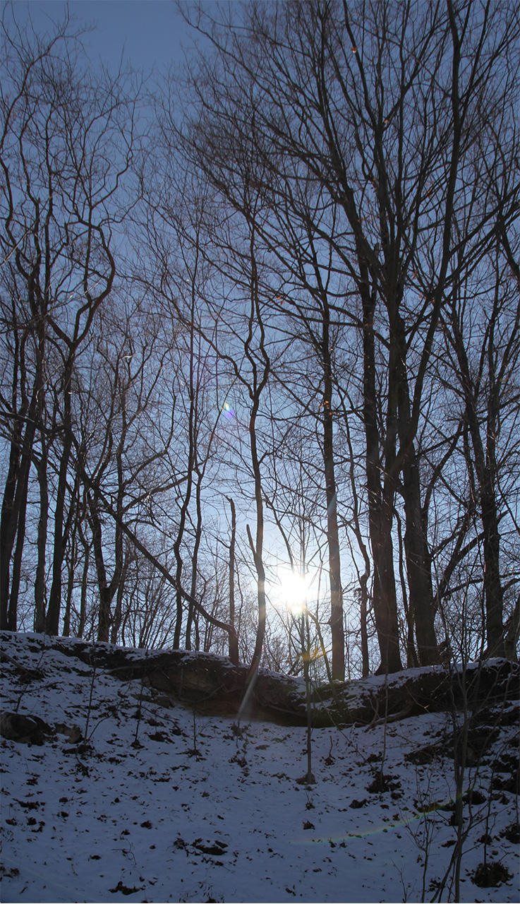 Click to Enlarge - Summit
