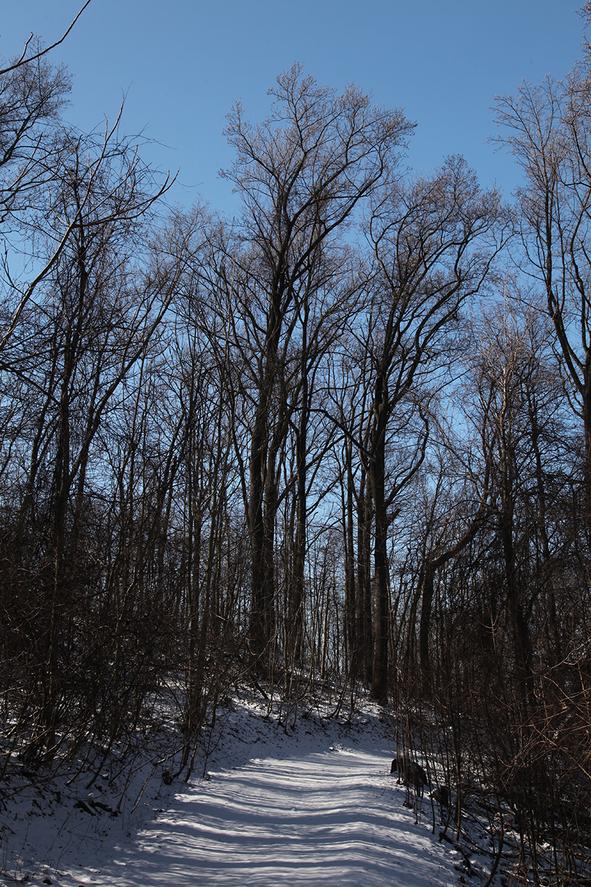 Click to Enlarge - Our Path