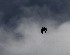 Blackbirds