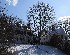 Ohiopyle 4