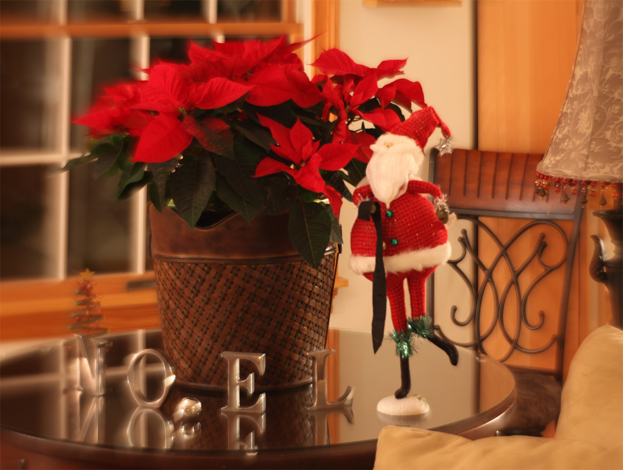 Click to Enlarge - Table Decoration  (SMCP Soft 85mm 2.2)