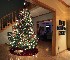 Foyer with Tree (SMCT 1:4.5/20mm)