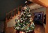 Foyer with Tree (SMCT 1:4.5/20mm)