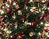 100% Crop of Tree (SMCT 1:4.5/20mm)