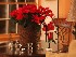 Table Decoration  (SMCP Soft 85mm 2.2)