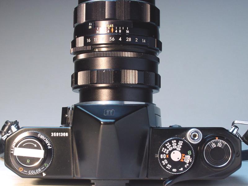 Asahi Pentax Helicoid Extension Tube on Honeywell Pentax Spotmatic and 50mm f/1.4 - Click to Enlarge