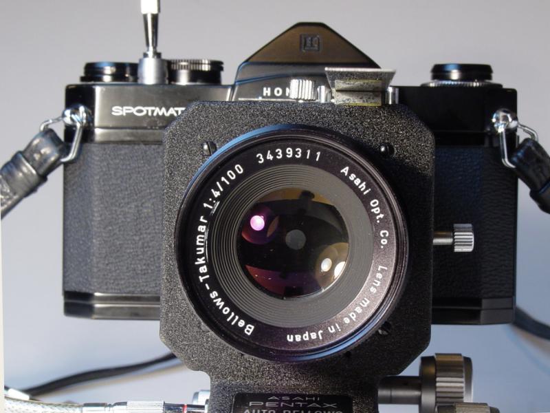 Bellows-Takumar 1:4/100mm on Honeywell Pentax Spotmatic and Auto Bellows II