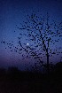 Moonrise