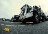 Trucks and Dandelion