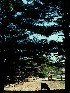Old Sturbridge Village