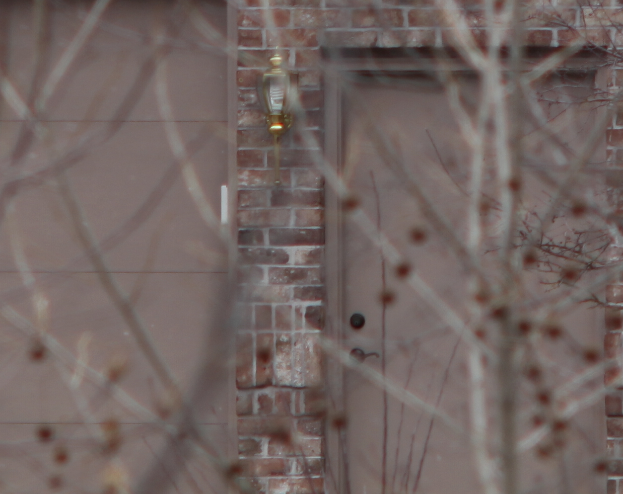 House 100% crop