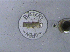 Spotmatic II Chrome
