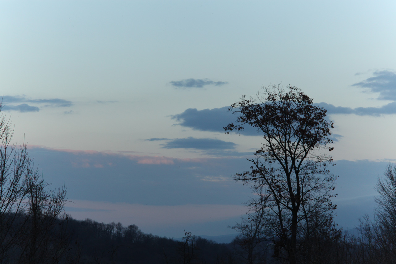 Click To Enlarge - Preview - Super-Multi-Coated Takumar 1:3.5/135mm