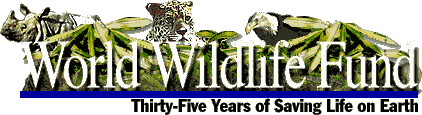 World Wildlife Fund - This is where Maria worked B.T. (Before Teddy) !