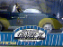 Gearbox Collectibles Index
