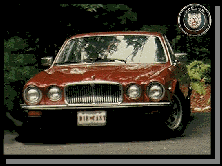 Click here to see our REAL cars!!!