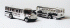 School Buses (Common (tinted) and Uncommon (clear) windshields