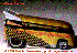 VW Buses! Animation